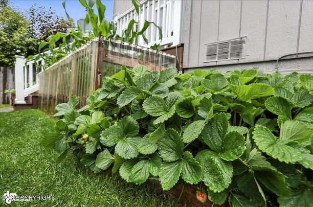 3040 Chesapeake Circle, Anchorage, AK 99516