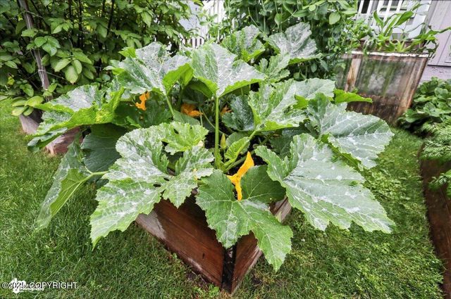 3040 Chesapeake Circle, Anchorage, AK 99516