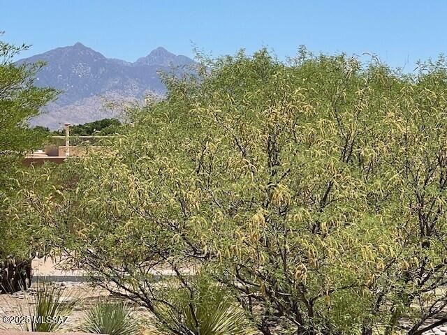 253 Market Circle, Tubac, AZ 85646