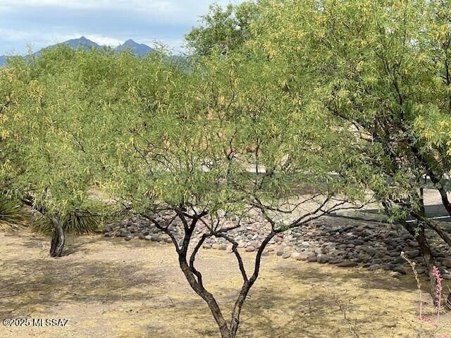 253 Market Circle, Tubac, AZ 85646