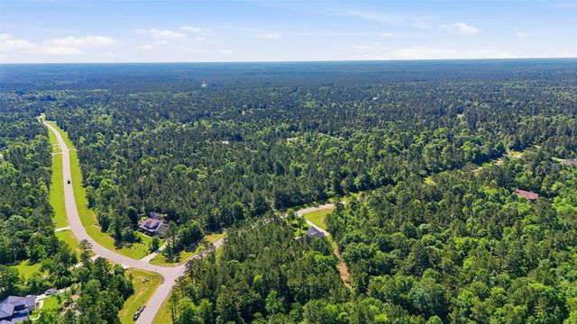 15779 Republic Ranch Road N, Willis, TX 77378