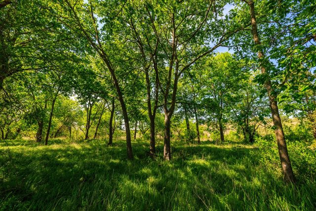 Lot 2 Byrd Ranch RD, Johnson City, TX 78636