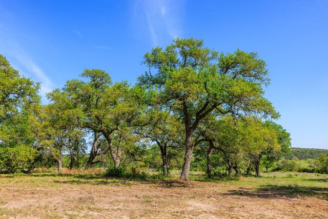 Lot 2 Byrd Ranch RD, Johnson City, TX 78636