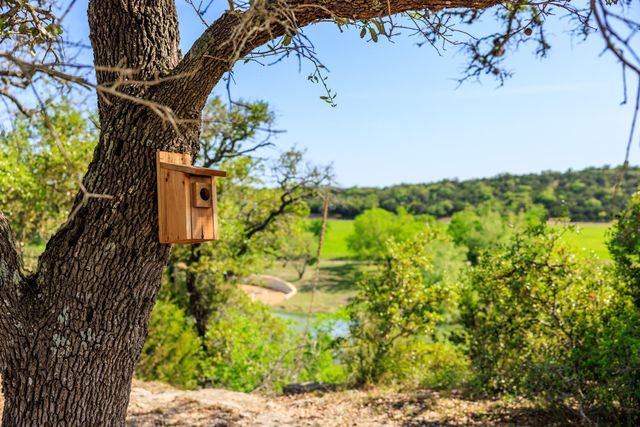 Lot 2 Byrd Ranch RD, Johnson City, TX 78636