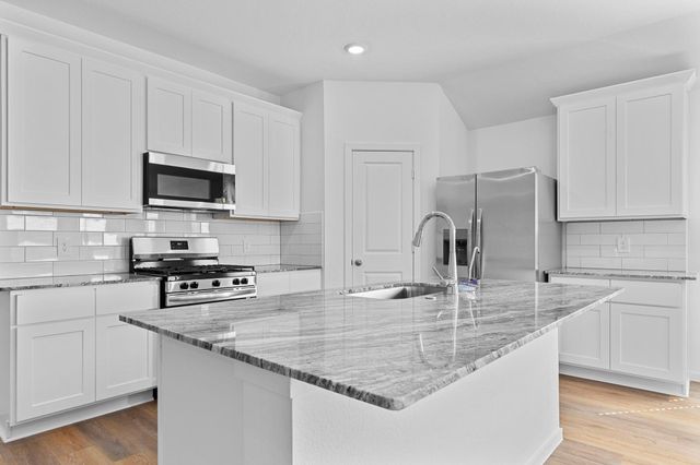 1411 Sweet Coconut Drive, Iowa Colony, TX 77583