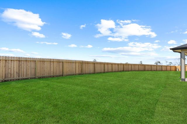1411 Sweet Coconut Drive, Iowa Colony, TX 77583