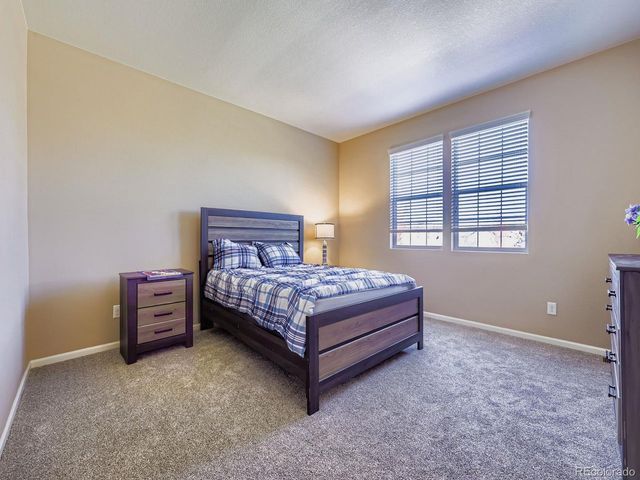 4415 Hydrangea Way, Castle Rock, CO 80109