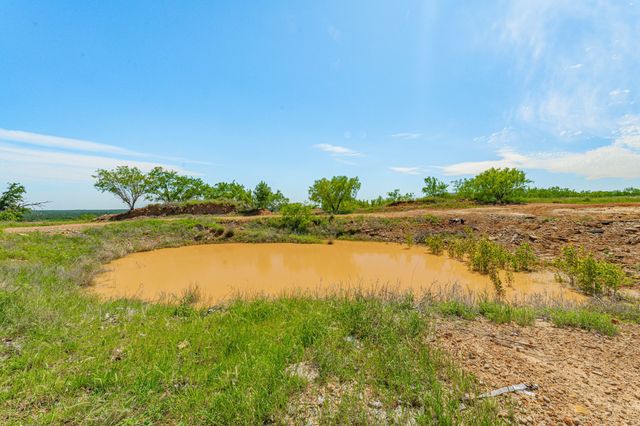 467 Weatherby Way, Santo, TX 76472