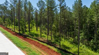 LOT 6 Farm Club Court, Newnan, GA 30263