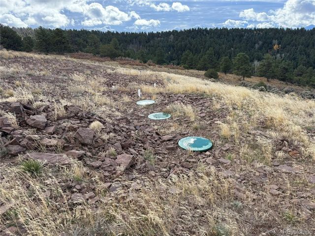 284 Borman Dr, Fort Garland, CO 81133