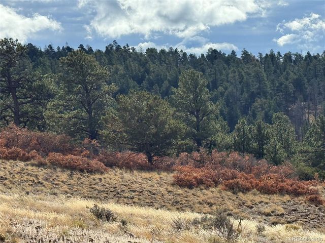 284 Borman Dr, Fort Garland, CO 81133