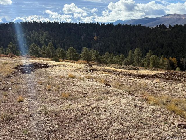 284 Borman Dr, Fort Garland, CO 81133