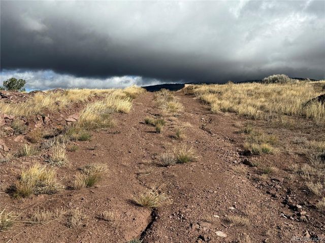 284 Borman Dr, Fort Garland, CO 81133