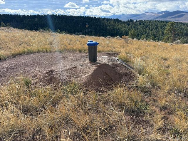 284 Borman Dr, Fort Garland, CO 81133