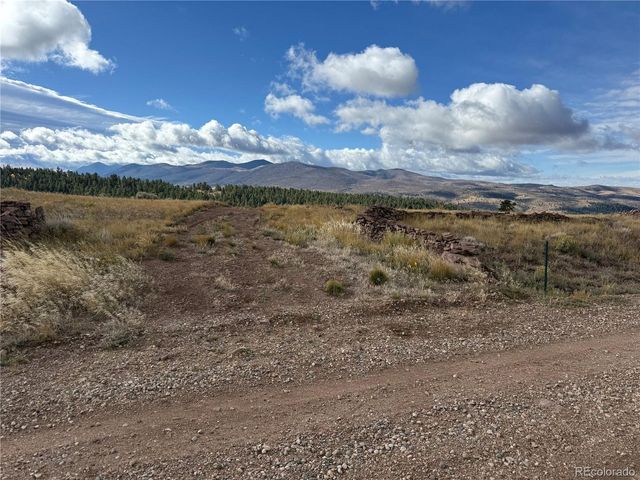 284 Borman Dr, Fort Garland, CO 81133