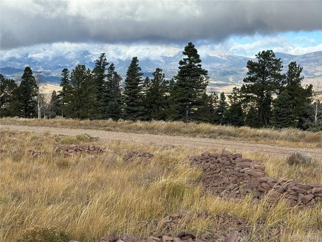 284 Borman Dr, Fort Garland, CO 81133