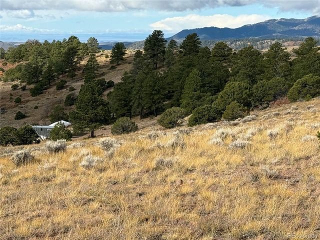 284 Borman Dr, Fort Garland, CO 81133