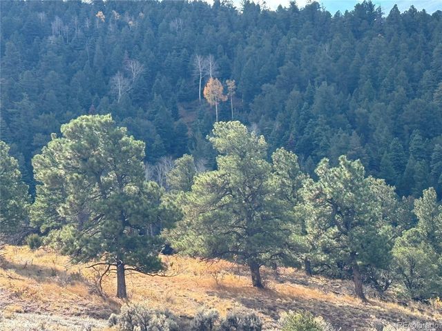 284 Borman Dr, Fort Garland, CO 81133