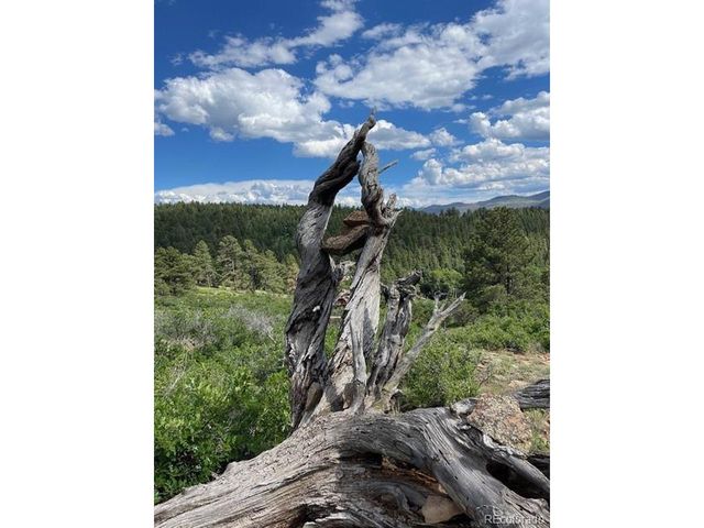 284 Borman Dr, Fort Garland, CO 81133