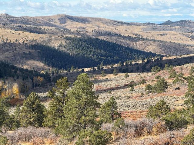 284 Borman Dr, Fort Garland, CO 81133