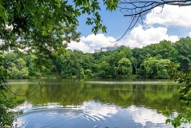 44 Washington St 1103, Brookline, MA 02445