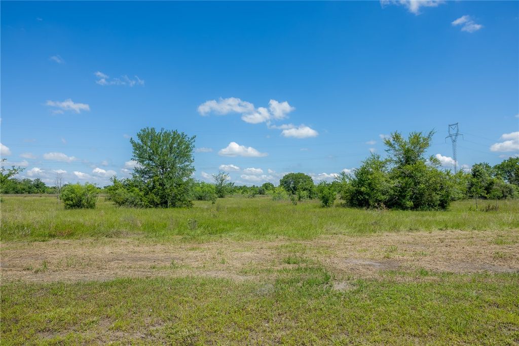 6507 Atakapan Trail, Bedias, TX 77831 — photo 2