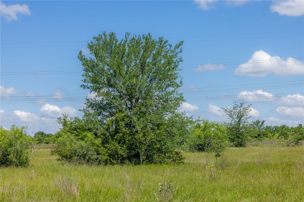6507 Atakapan Trail, Bedias, TX 77831 — photo 3