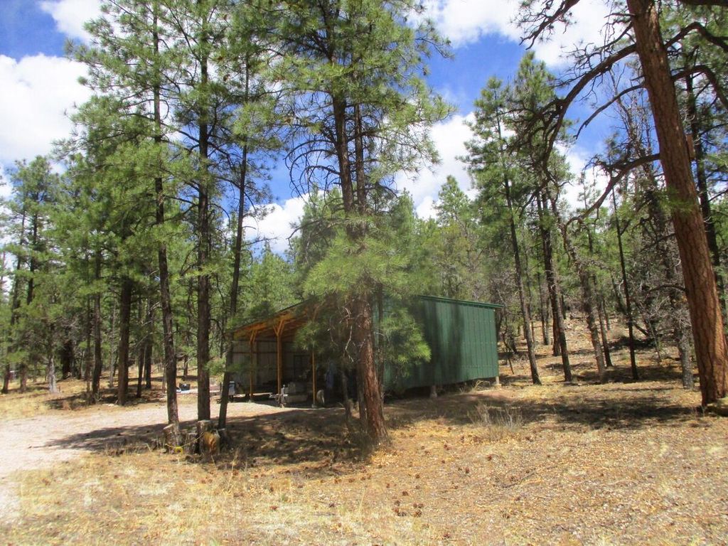 Image 63 of property listing at 160 Black Bear Road, Ramah, NM 87321