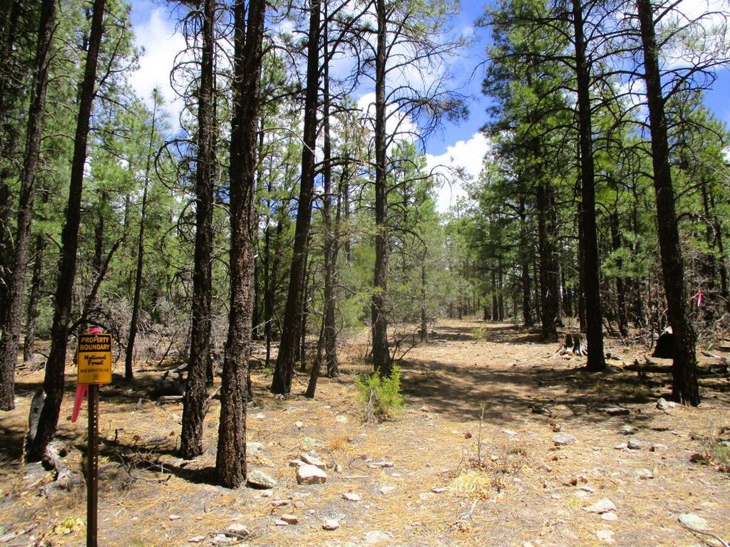 Image 65 of property listing at 160 Black Bear Road, Ramah, NM 87321