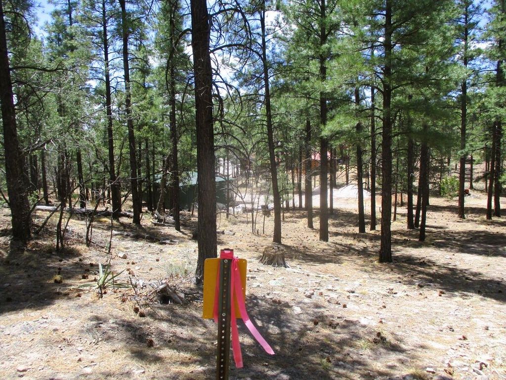 Image 66 of property listing at 160 Black Bear Road, Ramah, NM 87321