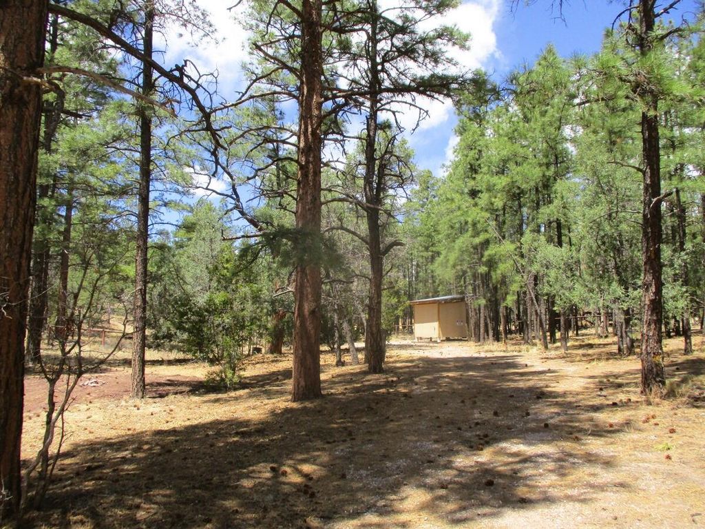 Image 67 of property listing at 160 Black Bear Road, Ramah, NM 87321