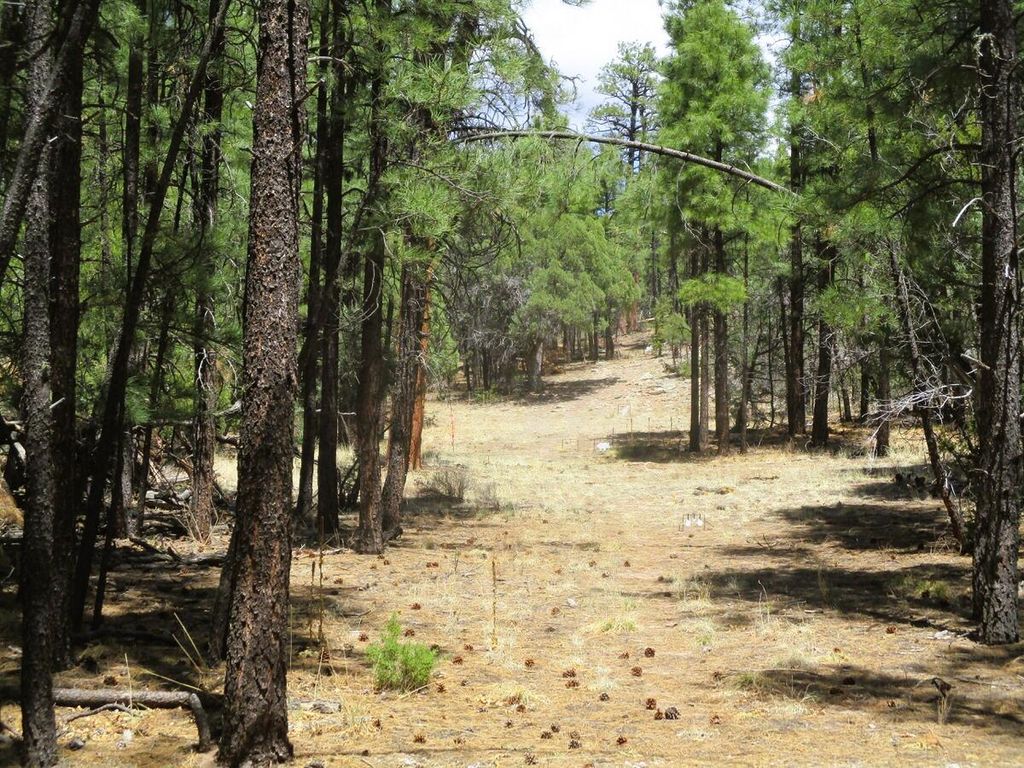 Image 72 of property listing at 160 Black Bear Road, Ramah, NM 87321