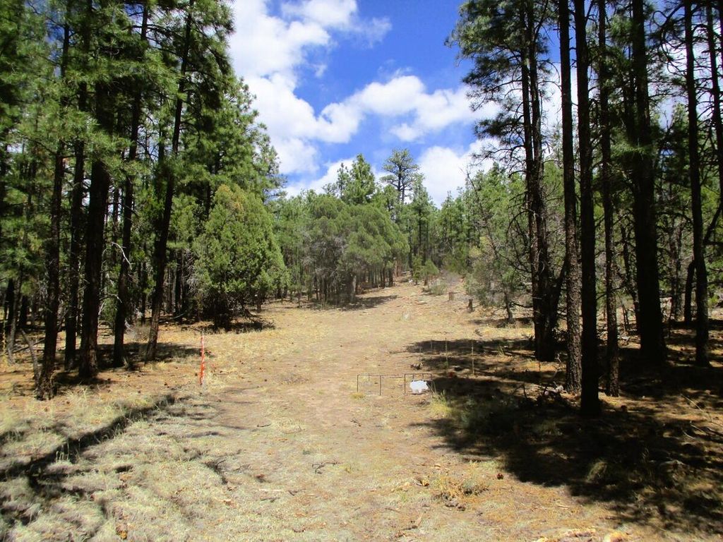 Image 74 of property listing at 160 Black Bear Road, Ramah, NM 87321