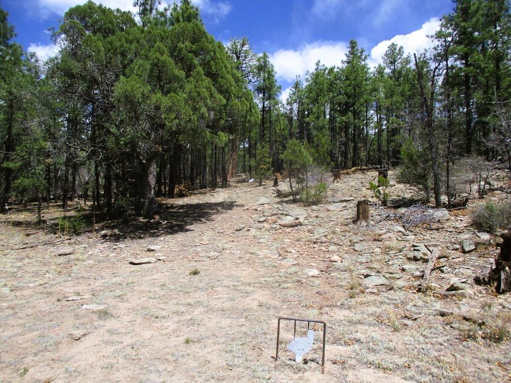 Image 75 of property listing at 160 Black Bear Road, Ramah, NM 87321