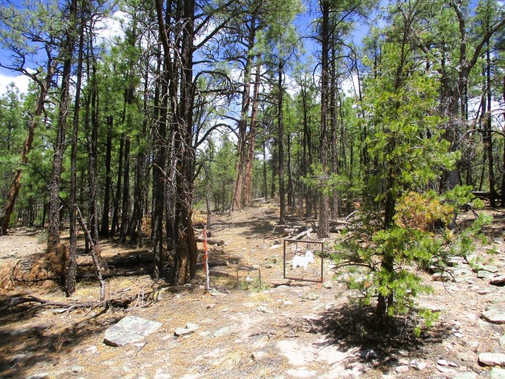 Image 76 of property listing at 160 Black Bear Road, Ramah, NM 87321