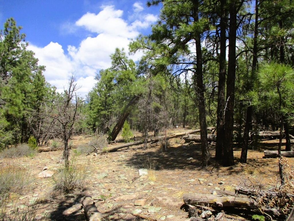 Image 77 of property listing at 160 Black Bear Road, Ramah, NM 87321