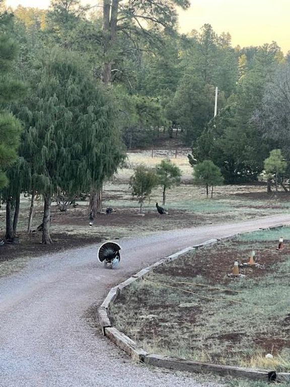 Image 80 of property listing at 160 Black Bear Road, Ramah, NM 87321