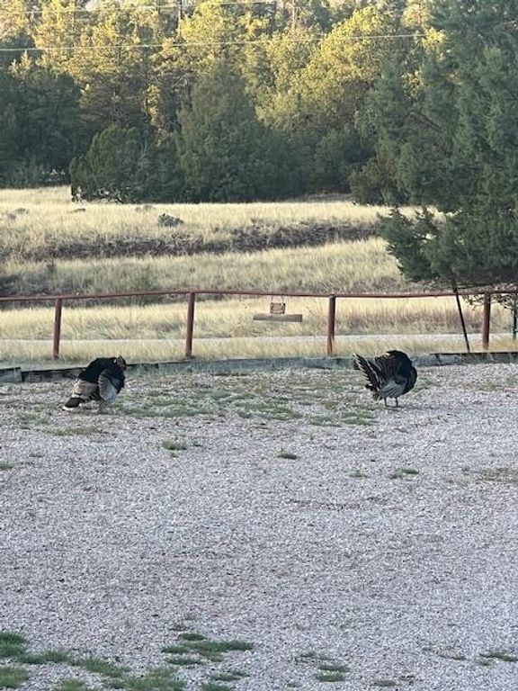 Image 81 of property listing at 160 Black Bear Road, Ramah, NM 87321