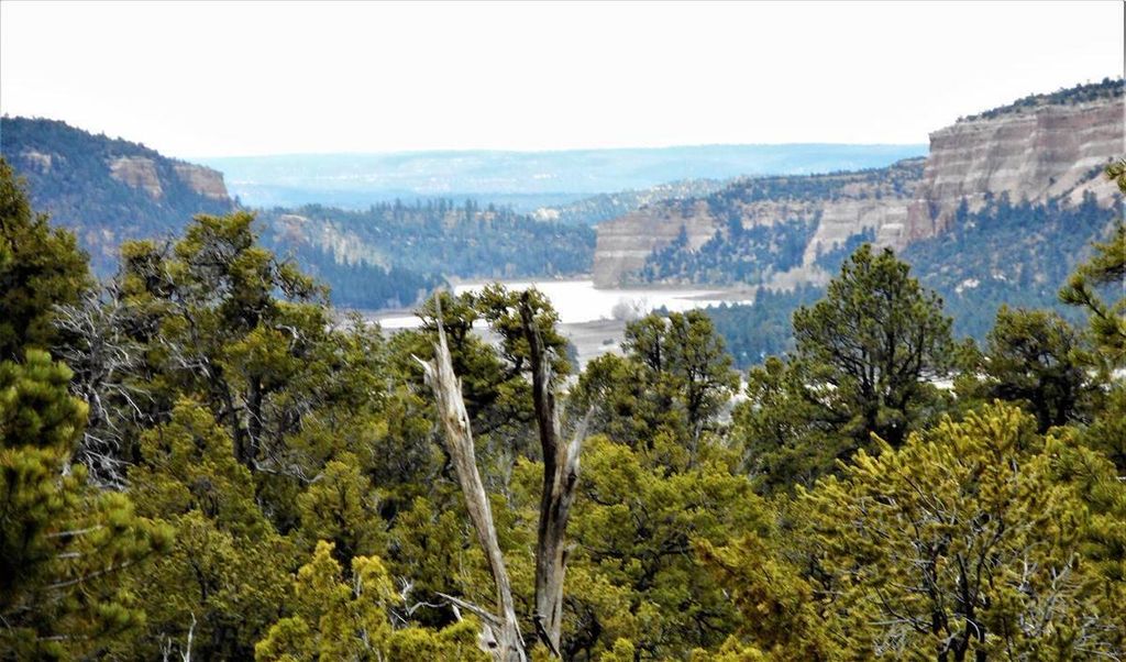 Image 91 of property listing at 160 Black Bear Road, Ramah, NM 87321