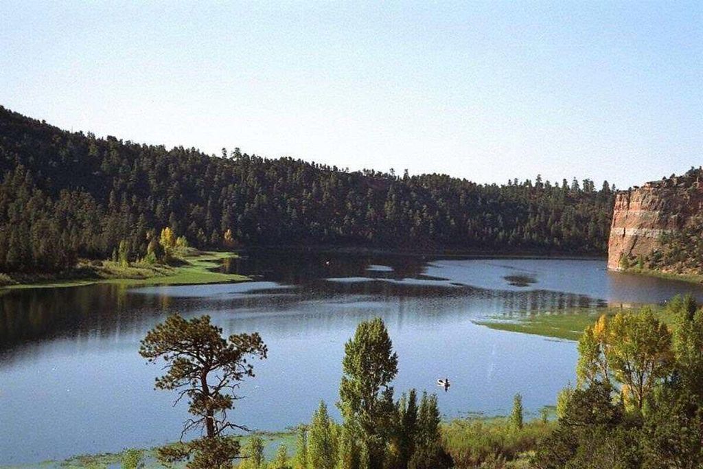 Image 94 of property listing at 160 Black Bear Road, Ramah, NM 87321