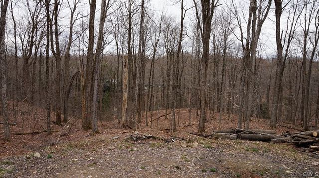 55 Pennock Brook Drive West, Orwell, NY 13144