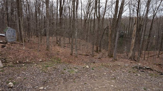 55 Pennock Brook Drive West, Orwell, NY 13144
