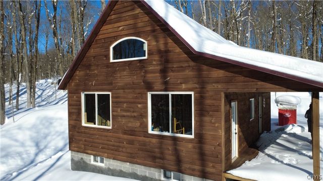 55 Pennock Brook Drive West, Orwell, NY 13144