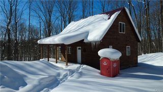 55 Pennock Brook Drive West, Orwell, NY 13144