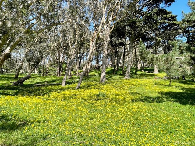 1405 34th Avenue, San Francisco, CA 94122