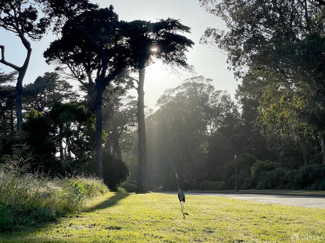 1405 34th Avenue, San Francisco, CA 94122