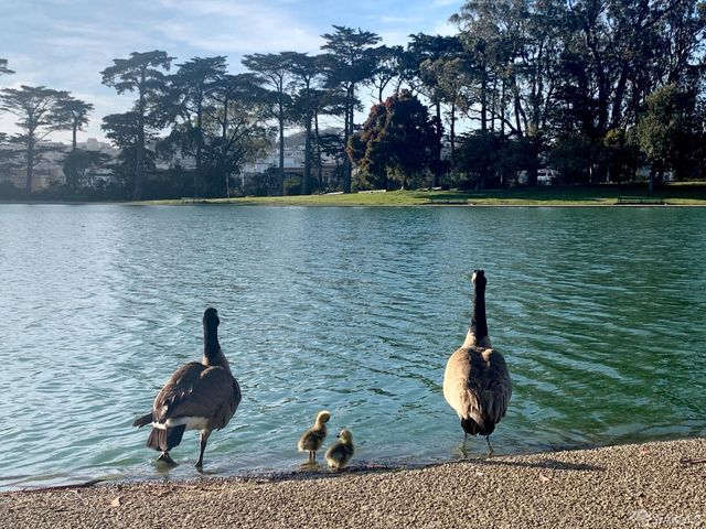 1405 34th Avenue, San Francisco, CA 94122