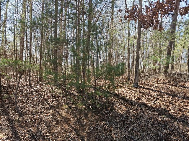 LOT 39 Farmers Circle, Mineral Bluff, GA 30559
