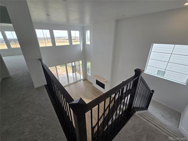 8952 Whiteclover Street, Littleton, CO 80125