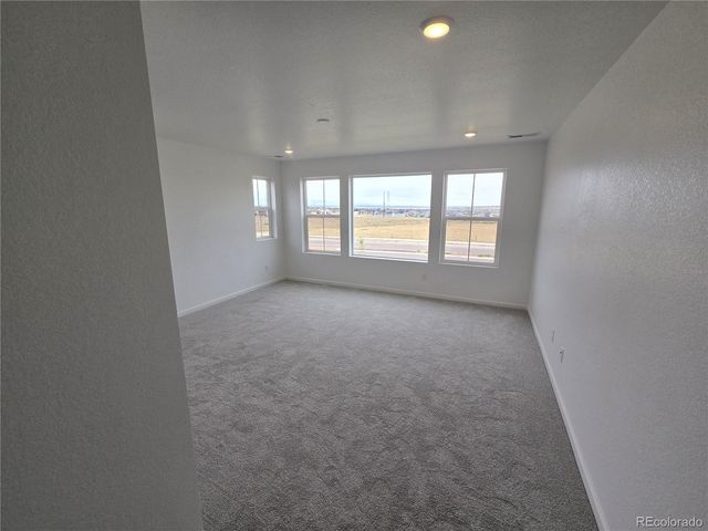 8952 Whiteclover Street, Littleton, CO 80125